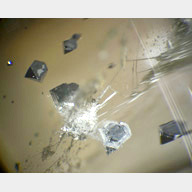 inclusions