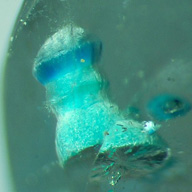 inclusions