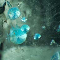 inclusions