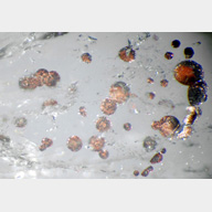 inclusions