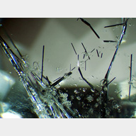 inclusions