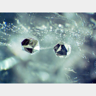 inclusions