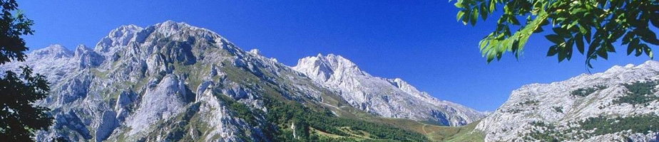 gem sphalerite pictures